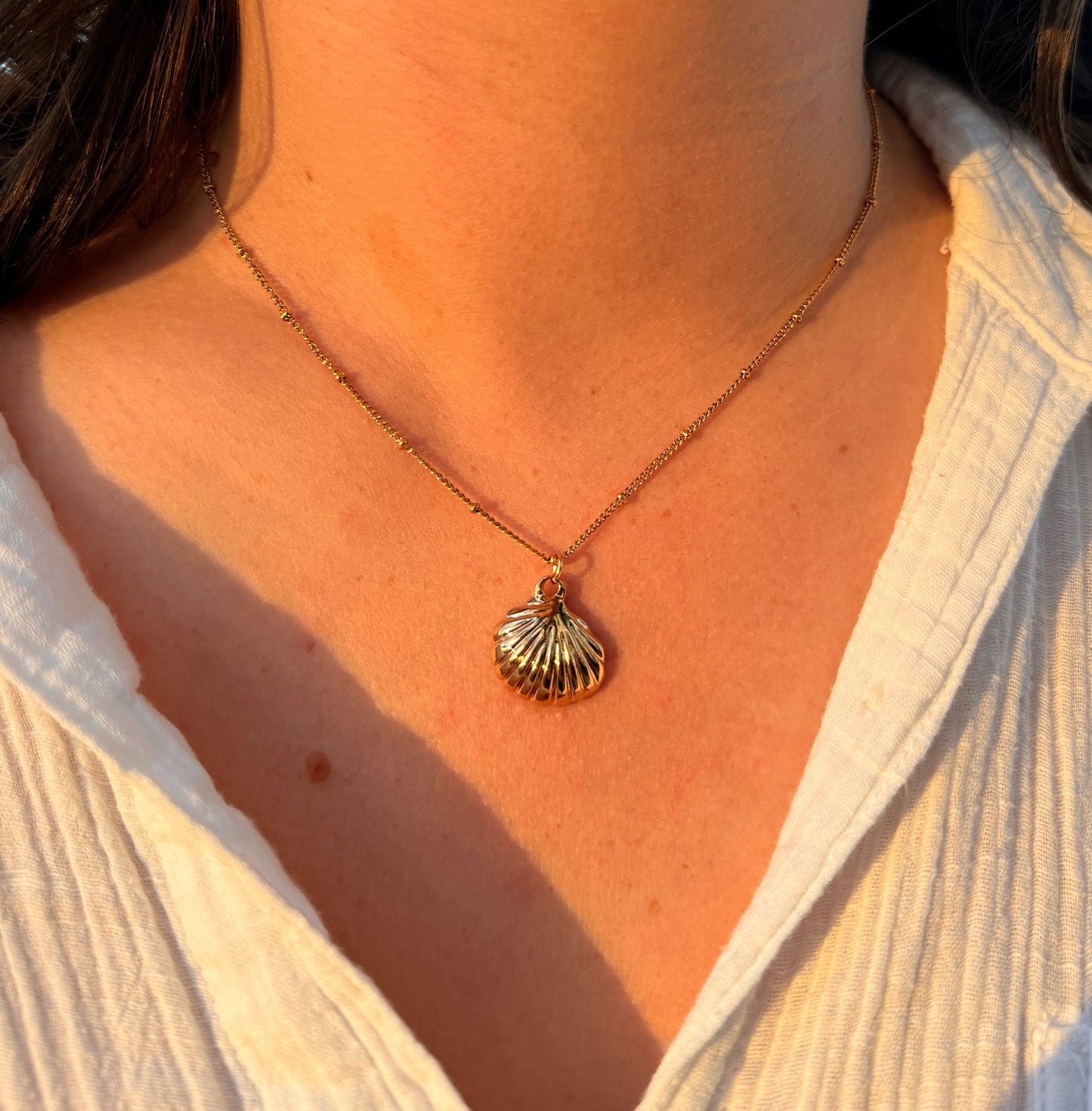 Sea Shell Necklace